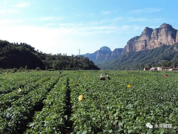 财神争霸(中国)官方网站 - 手机版APP下载