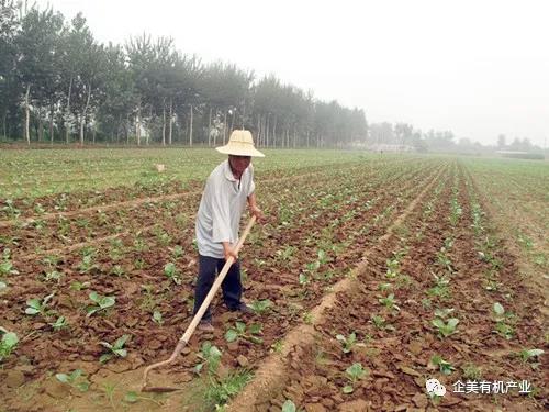 财神争霸(中国)官方网站 - 手机版APP下载