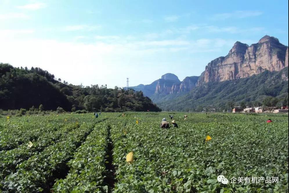 财神争霸(中国)官方网站 - 手机版APP下载