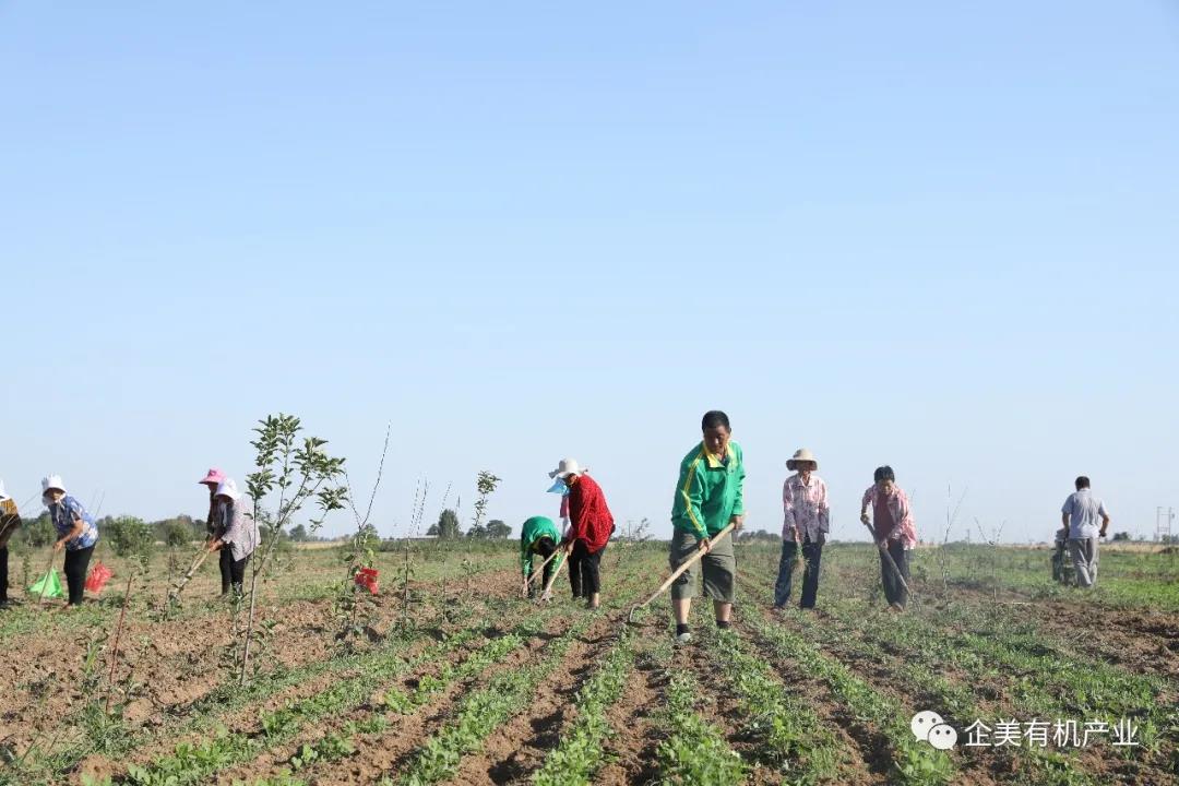 财神争霸(中国)官方网站 - 手机版APP下载